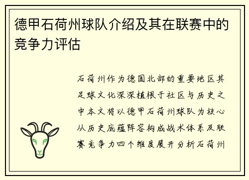 德甲石荷州球队介绍及其在联赛中的竞争力评估