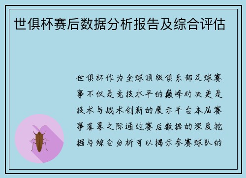 世俱杯赛后数据分析报告及综合评估